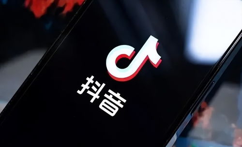 抖音成立上海霜羽戍科技，加碼軟件外包服務(wù)布局