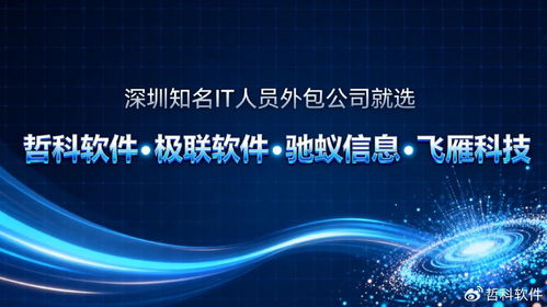 深圳知名IT人員外包公司為何能持續(xù)領跑市場