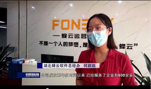 湖北蜂云軟件 壯大軟件開發(fā)市場主體，促進服務外包量增質升